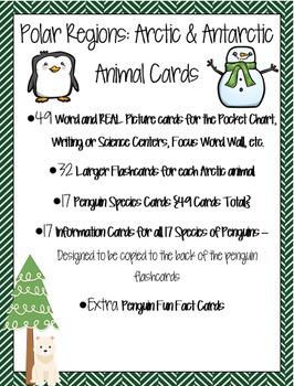 Preview of Polar Regions - Animal Word & Picture Cards