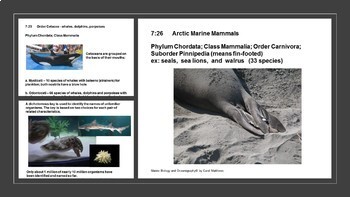 Preview of Polar Seas - Ocean/Marine Biology Unit 7