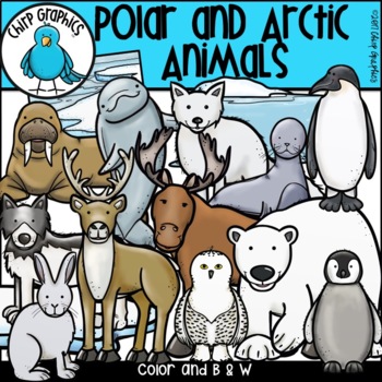 Polar and Arctic Animals Clip Art Set by Chirp Graphics | TPT