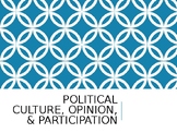 Political Culture, Opinion, & Participation PowerPoint (AP