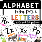 Polka Dot, Bright Colors Alphabet with Real Life Pictures