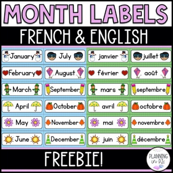 Preview of Month Calendar Cards French and English | Matching Bilingual Polka Dot FREE