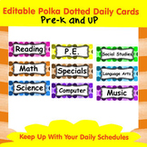 Editable Polka Dotted Daily Cards (Schedules)