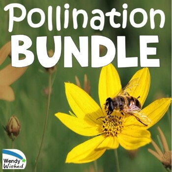 Preview of Pollination Activities BUNDLE