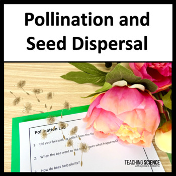 Preview of Pollination Activity and Seed Dispersal & Develop a Model for Dispersing Seeds