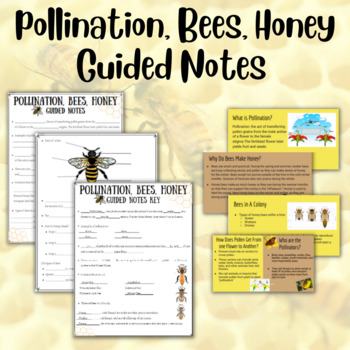 Preview of Pollination, Bees, Honey Guided Notes & PowerPoint
