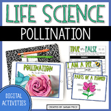 2nd & 3rd Grade Life Science - Pollination Digital Activit