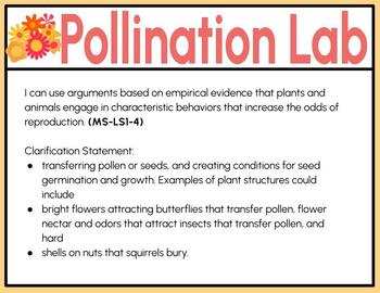 Preview of Pollination Lab
