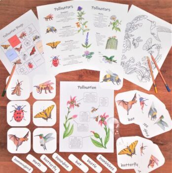 Preview of Pollinators Mini Study: pollination printables, flash cards, and handouts