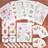 Pollinators Mini Study: pollination printables, flash card