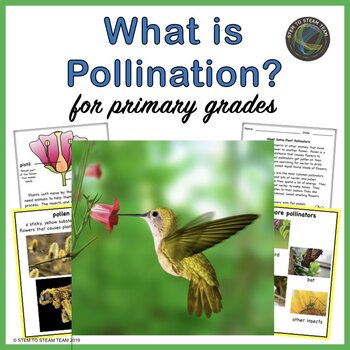 Preview of Pollination Nonfiction Text and More