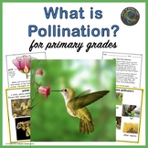Pollination Nonfiction Text and More