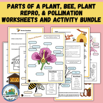 Preview of Parts of a Plant, Bee, Plant Repro, & Pollination Worksheets & Activities BUNDLE