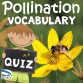 Pollination Vocabulary Quiz for how Plants Depend on Animals