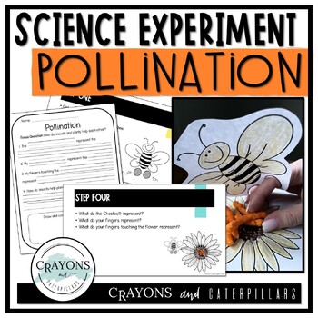 Preview of Pollination Insects & Plants Hands-On Science Experiment