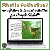 Pollination Texts and Activities for Use with Google Slides™