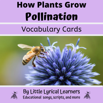 Preview of Pollination and Seed Dispersal Vocabulary Cards