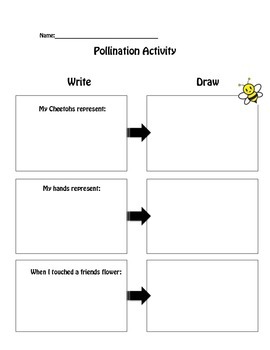 Pollination Worksheet by Sunny in 2nd | Teachers Pay Teachers