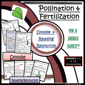 Preview of Pollination and Fertilization Doodle | Science Doodles | Reading Passages