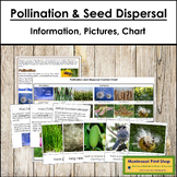 Pollination and Seed Dispersal - Information, Sorting Card