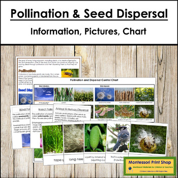 Preview of Pollination and Seed Dispersal - Information, Sorting Cards & Control Chart
