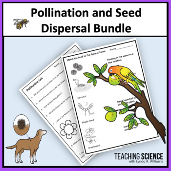 seed dispersal by animals clipart png