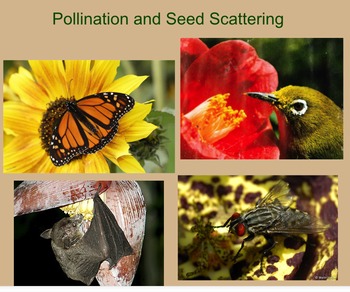 Preview of Pollination and Seed Scattering