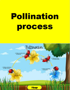 Preview of Pollination process