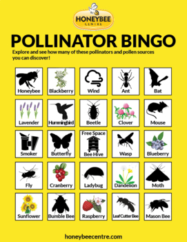 Preview of Pollinator Bingo