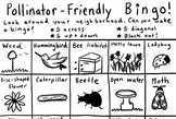 Pollinator Friendly Bingo Coloring Page (Nature Walk)