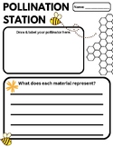 Pollinator Lab Sheet