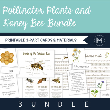 Preview of Pollinator Plants and Honey Bee Bundle
