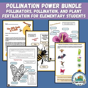 Preview of Pollination Activities for Elementary & Homeschool, Spring Worksheets & Lessons