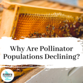 Pollinator and Honey Bee Population Decline Inquiry Project