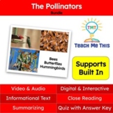 Pollinators Informational Text Reading Passage and Activit