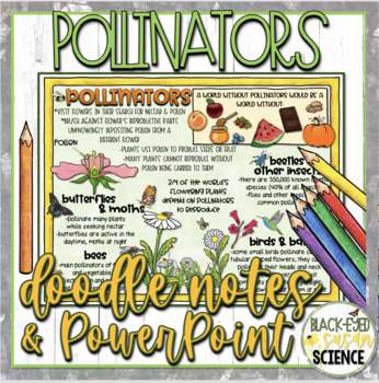 Preview of Pollinators Doodle Notes & Quiz + PowerPoint