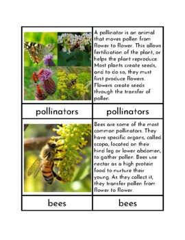 Preview of Pollinators - Three/Four Part Cards