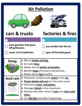 Pollution and Conservation Study Guide by Cammie's Corner | TpT