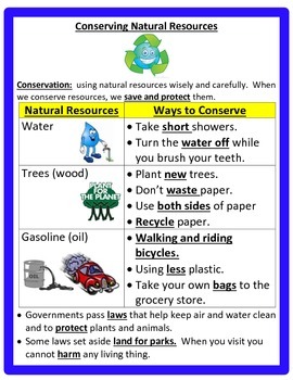 Pollution and Conservation Study Guide by Cammie's Corner | TpT