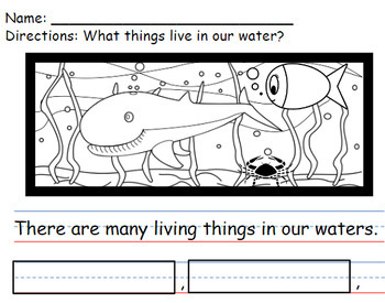 Preview of Pollution and Our Oceans - Worksheets for ENL/ESL