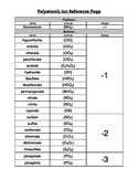 Polyatomic Ion Reference Sheet
