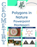 Polygons in Nature - Montessori PowerPoint