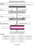 Polymerase Chain Reaction PCR worksheet with Answer Key an