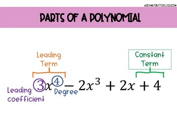 Preview of Polynomial Anchor Charts
