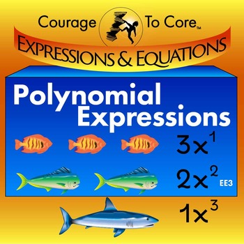 Preview of Polynomial Expressions (EE3): HSA.APR.A.1