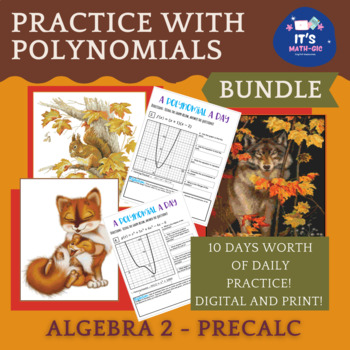 Preview of Polynomial a Day - Digital and Print Bundle
