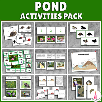 Preview of Pond Activities Montessori Bundle
