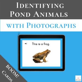 Preview of Pond Animal Vocabulary Using Photographs with Boom Cards™ | Digital