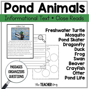 Pond Animals Informational Text Close Reading by Renee Dooly | TPT
