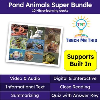 Preview of Pond Animals Informational Text Reading Passage and Activities Super Bundle